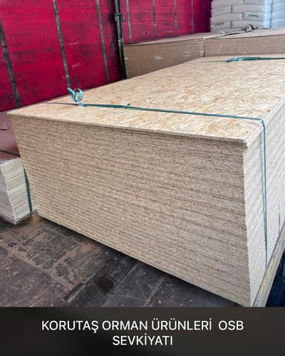 18 mm OSB 122x244